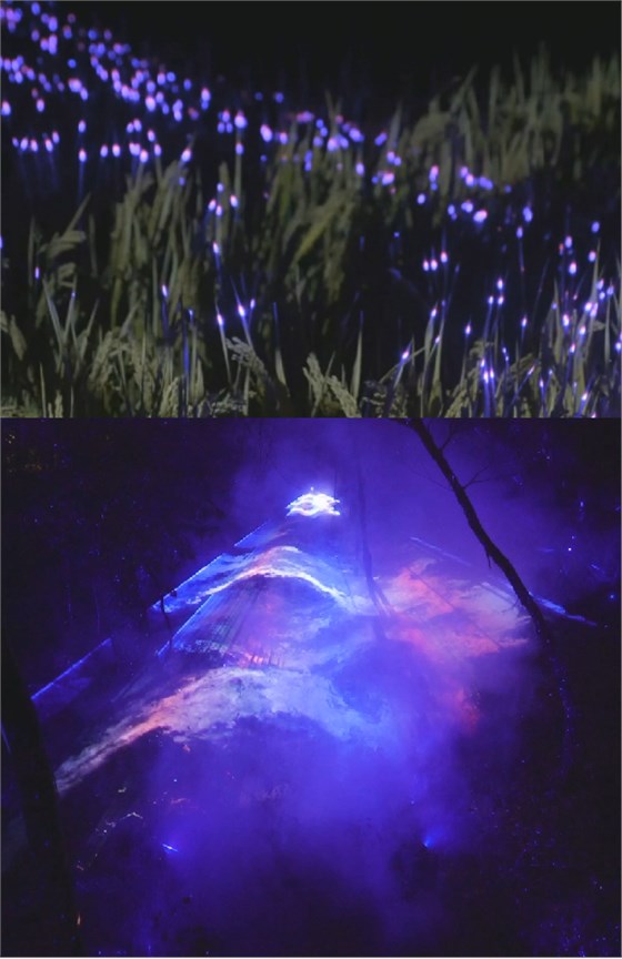 夜景亮化設(shè)計(jì)