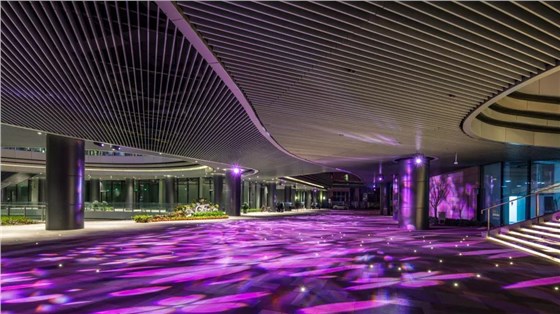 央視上海國際傳媒港亮化工程3-信達(dá)電通