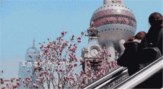 上海國(guó)際傳媒港