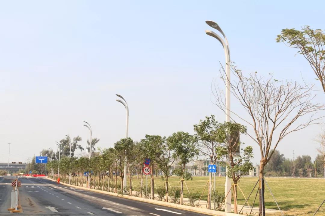 榮膺2019年度國家科技進步獎一等獎